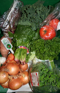Local Food Basket - Pfennings Organic